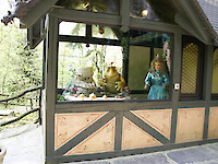 Froschk&ouml;nig