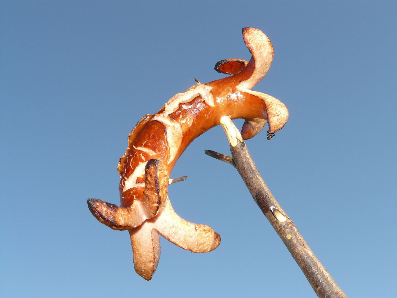 Gallier-Snack