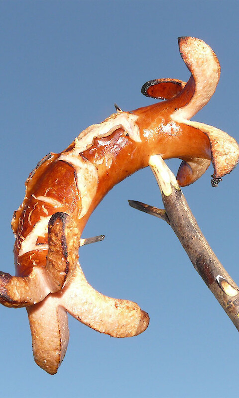 Gallier-Snack