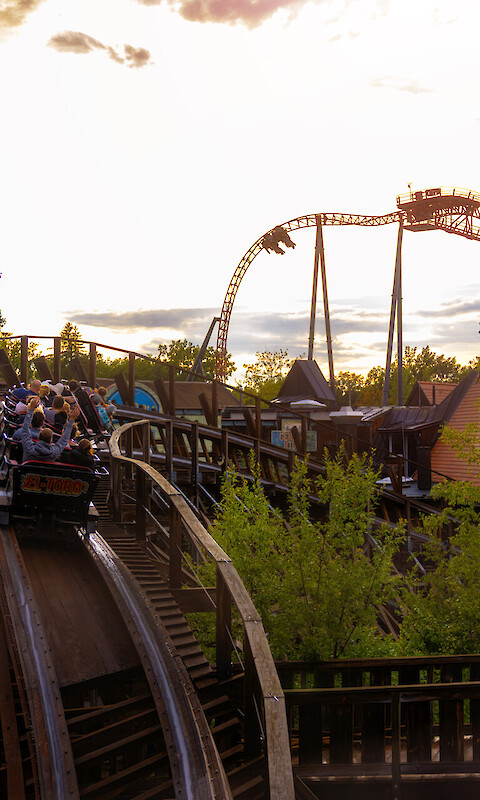 Dřevěn&eacute; Coaster &bdquo;El Toro&ldquo;