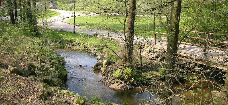 Plohnbach floodplain nature reserve