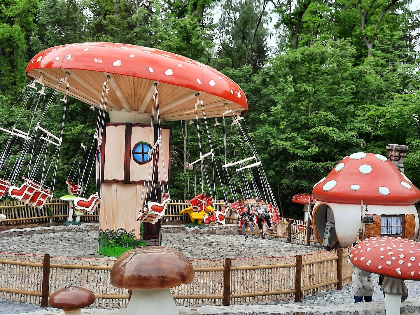 Plohnis Pilzflieger