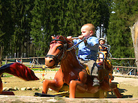 Pony-Adventure