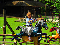 Pony-Adventure